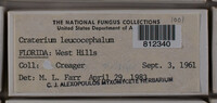 Image Associated With the Occurence